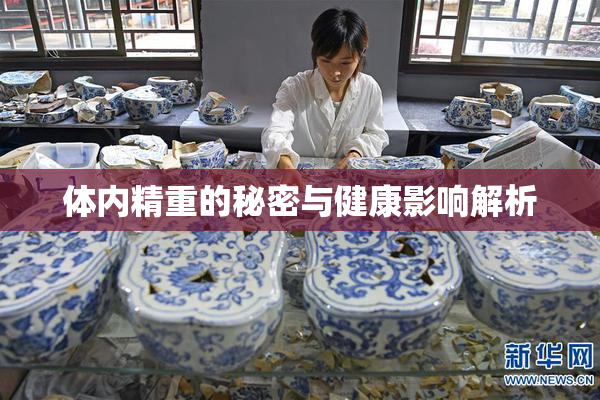 体内精重的秘密与健康影响解析