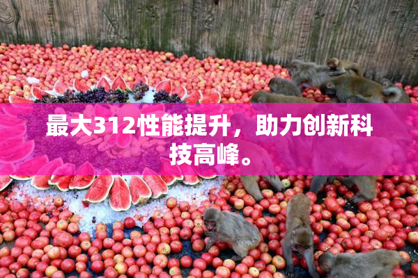 最大312性能提升，助力创新科技高峰。