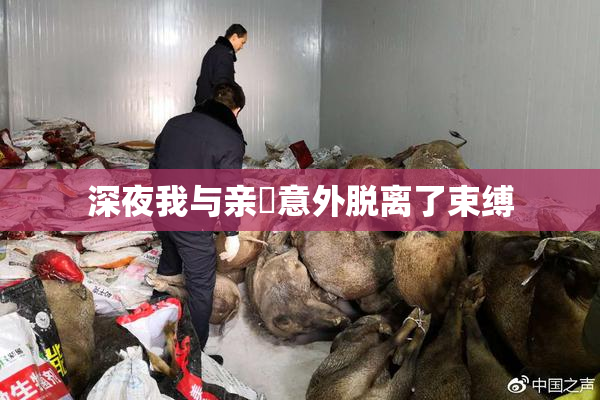 深夜我与亲妺意外脱离了束缚
