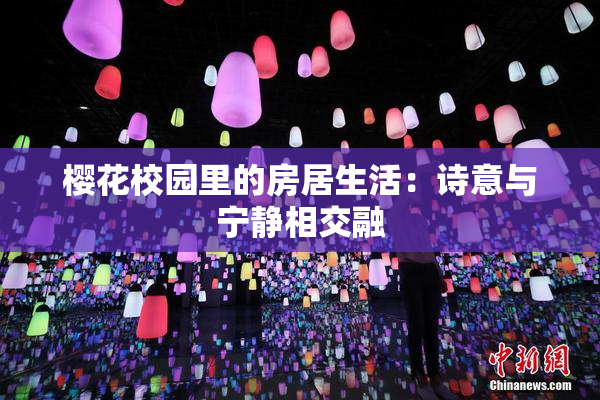 樱花校园里的房居生活：诗意与宁静相交融