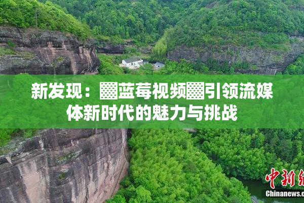 新发现：▓蓝莓视频▓引领流媒体新时代的魅力与挑战