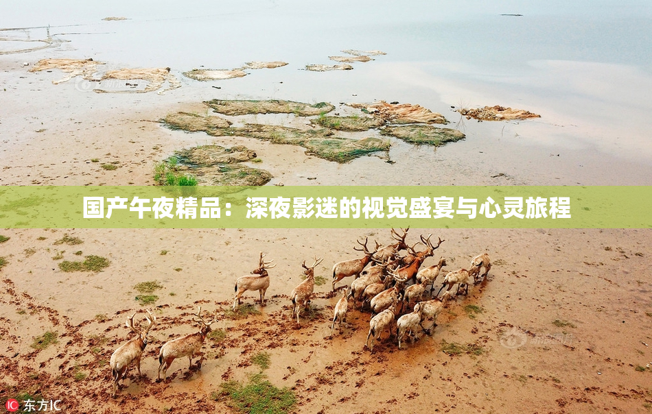 国产午夜精品：深夜影迷的视觉盛宴与心灵旅程