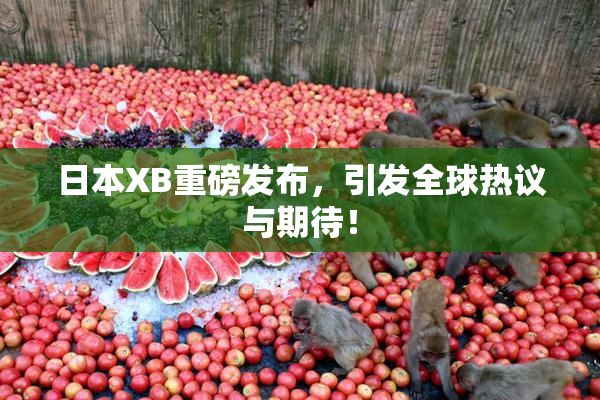 日本XB重磅发布，引发全球热议与期待！