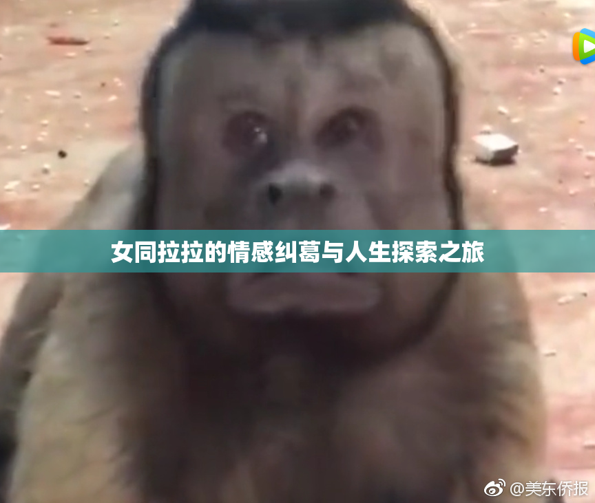 女同拉拉的情感纠葛与人生探索之旅
