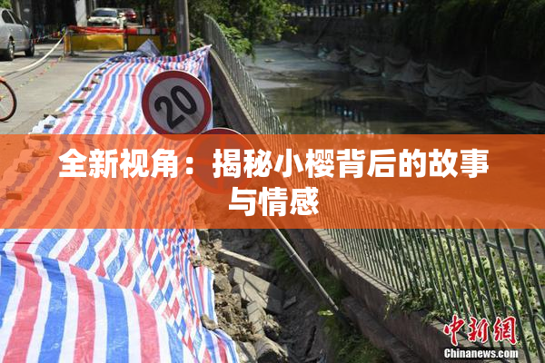 全新视角：揭秘小樱背后的故事与情感