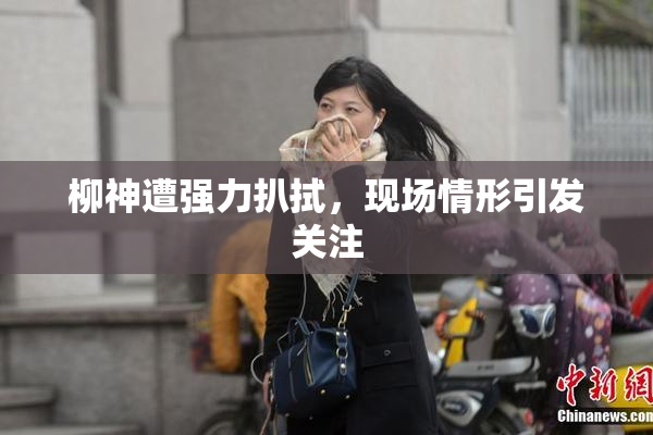 柳神遭强力扒拭，现场情形引发关注