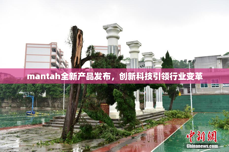 mantah全新产品发布，创新科技引领行业变革