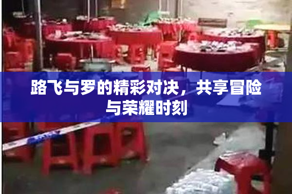 路飞与罗的精彩对决，共享冒险与荣耀时刻