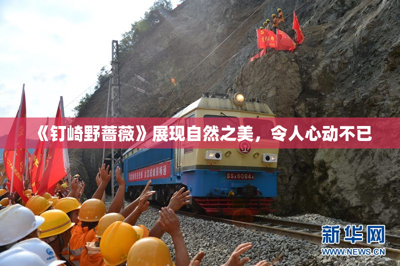 《钉崎野蔷薇》展现自然之美，令人心动不已