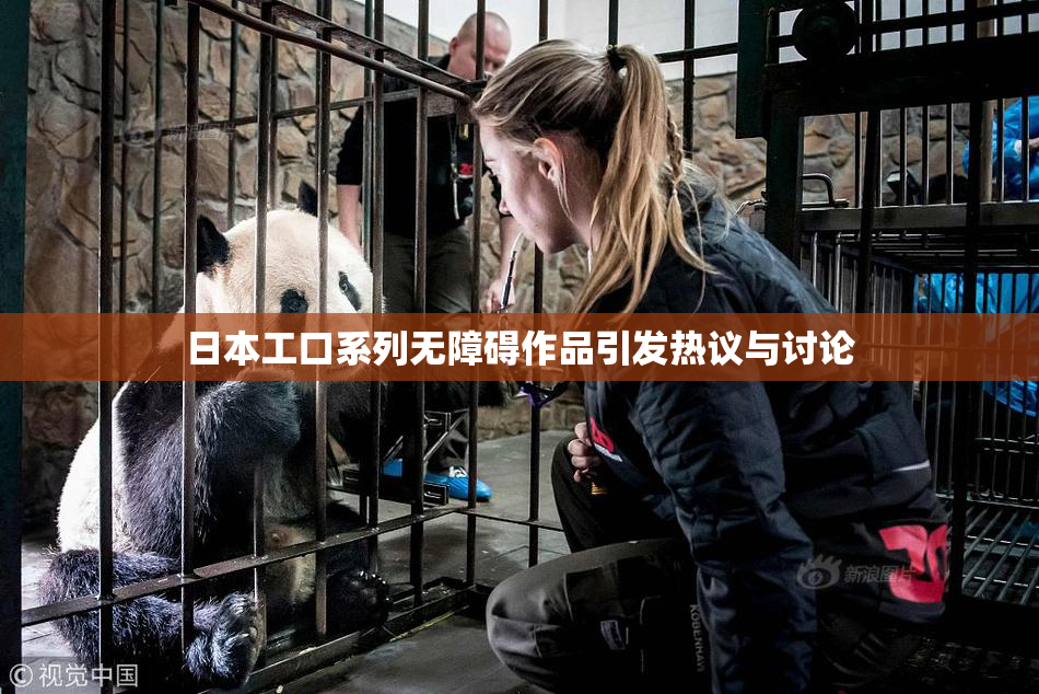 日本工口系列无障碍作品引发热议与讨论