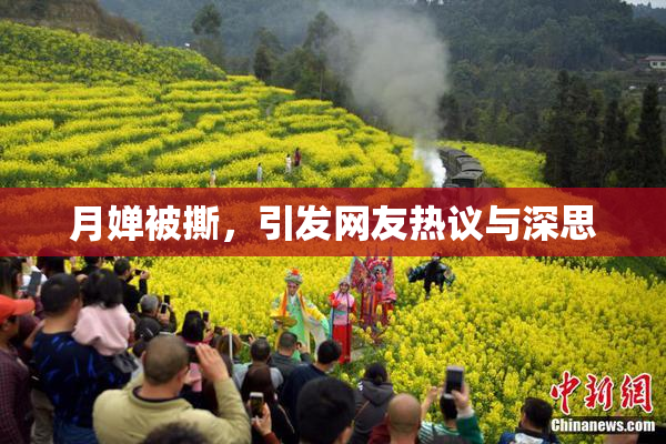 月婵被撕，引发网友热议与深思