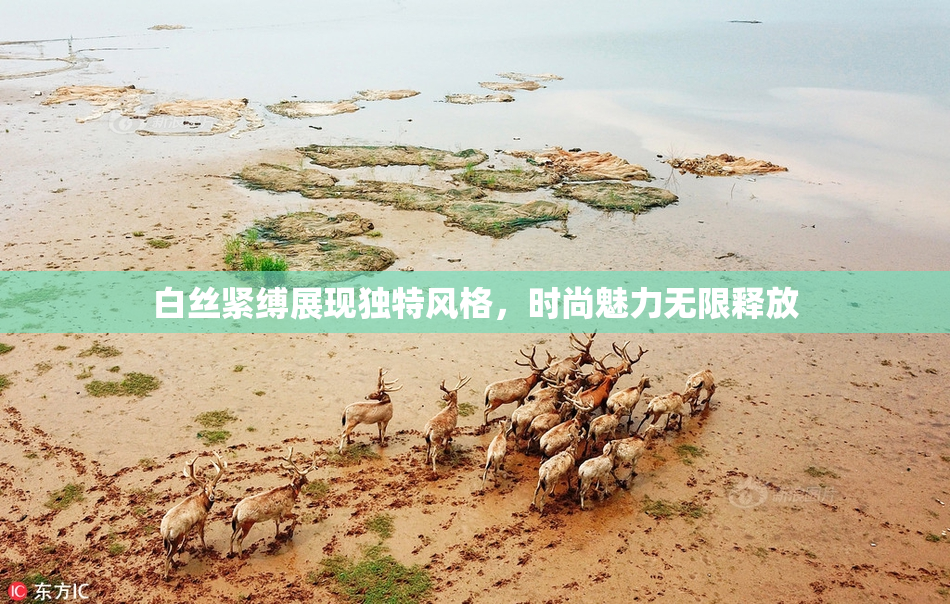白丝紧缚展现独特风格，时尚魅力无限释放
