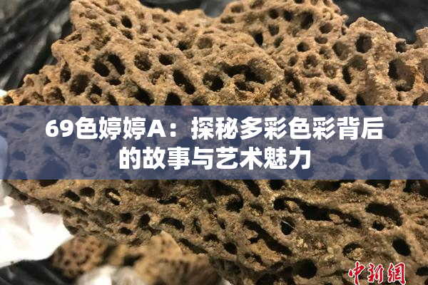 69色婷婷A：探秘多彩色彩背后的故事与艺术魅力