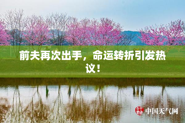 前夫再次出手，命运转折引发热议！