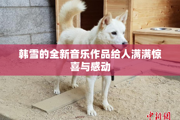 韩雪的全新音乐作品给人满满惊喜与感动