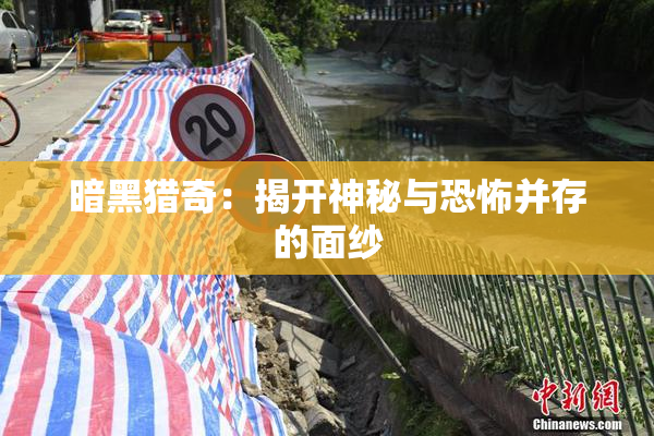 暗黑猎奇：揭开神秘与恐怖并存的面纱