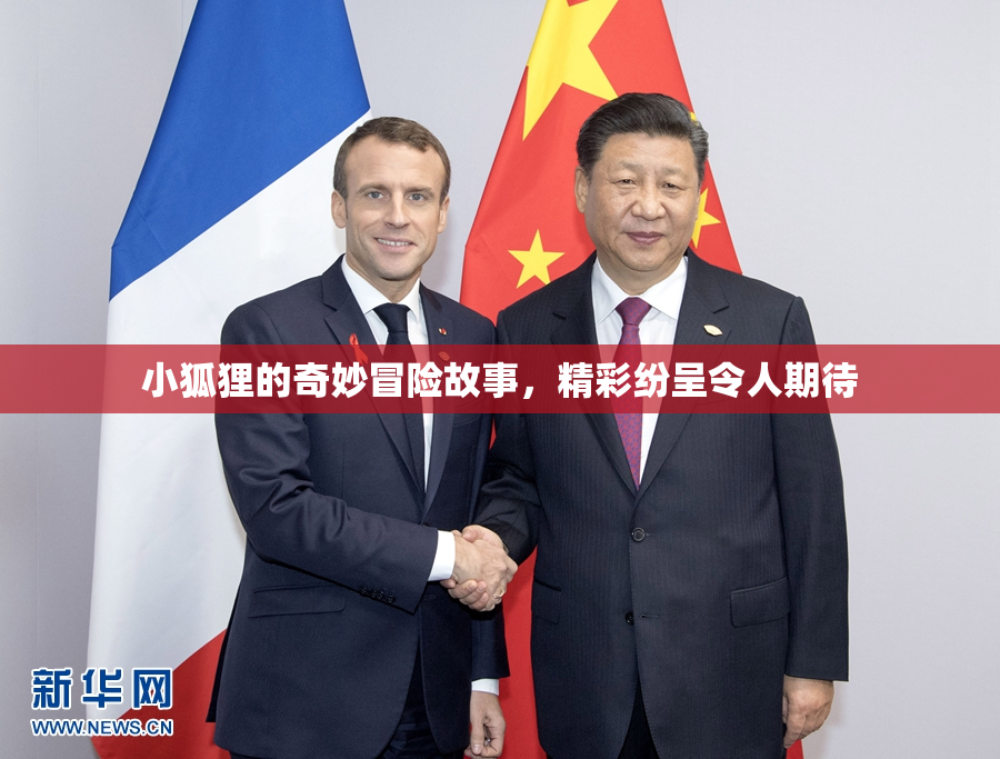 小狐狸的奇妙冒险故事，精彩纷呈令人期待