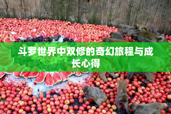 斗罗世界中双修的奇幻旅程与成长心得