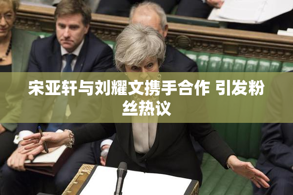 宋亚轩与刘耀文携手合作 引发粉丝热议