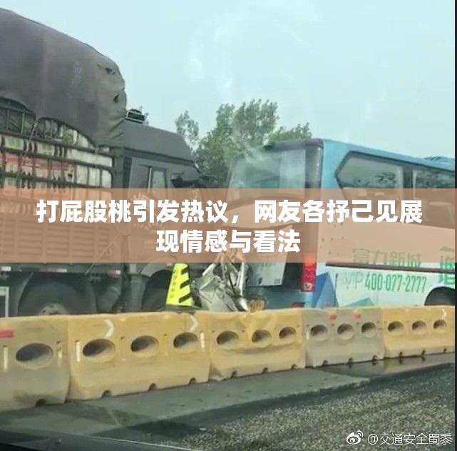 打屁股桃引发热议，网友各抒己见展现情感与看法