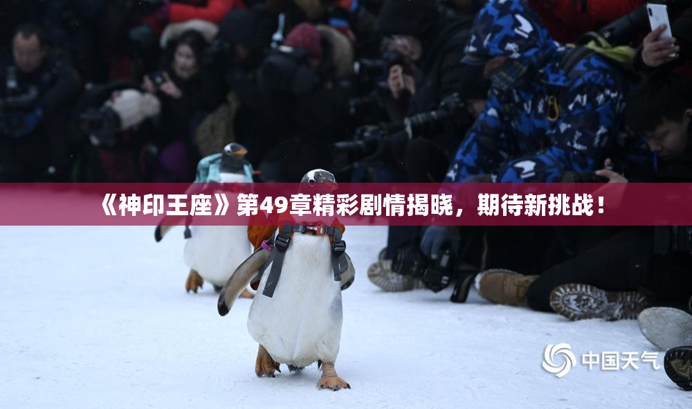《神印王座》第49章精彩剧情揭晓，期待新挑战！