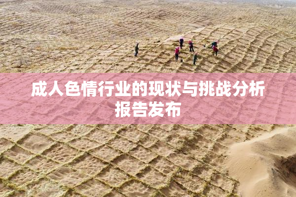 成人色情行业的现状与挑战分析报告发布