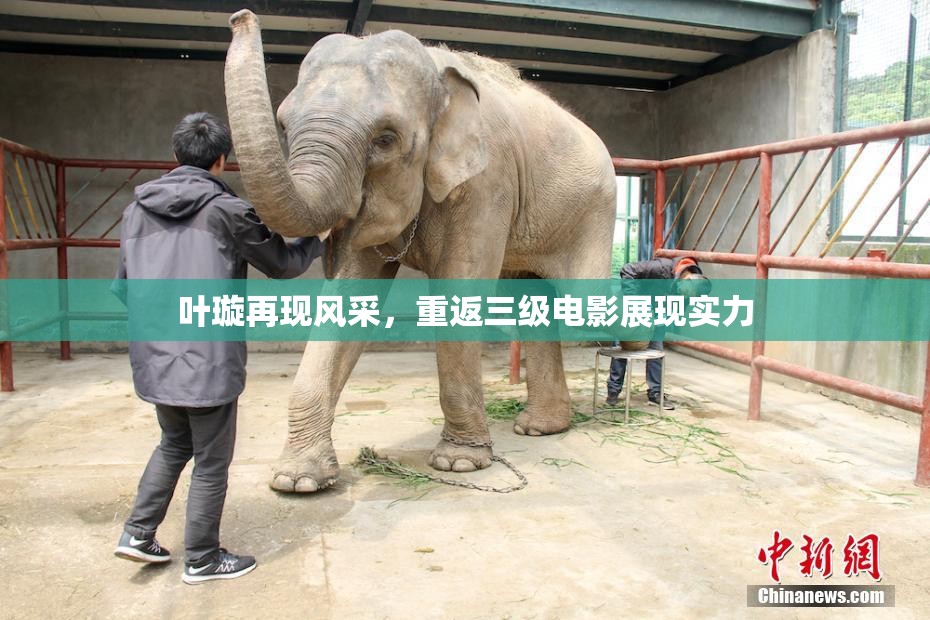 叶璇再现风采，重返三级电影展现实力