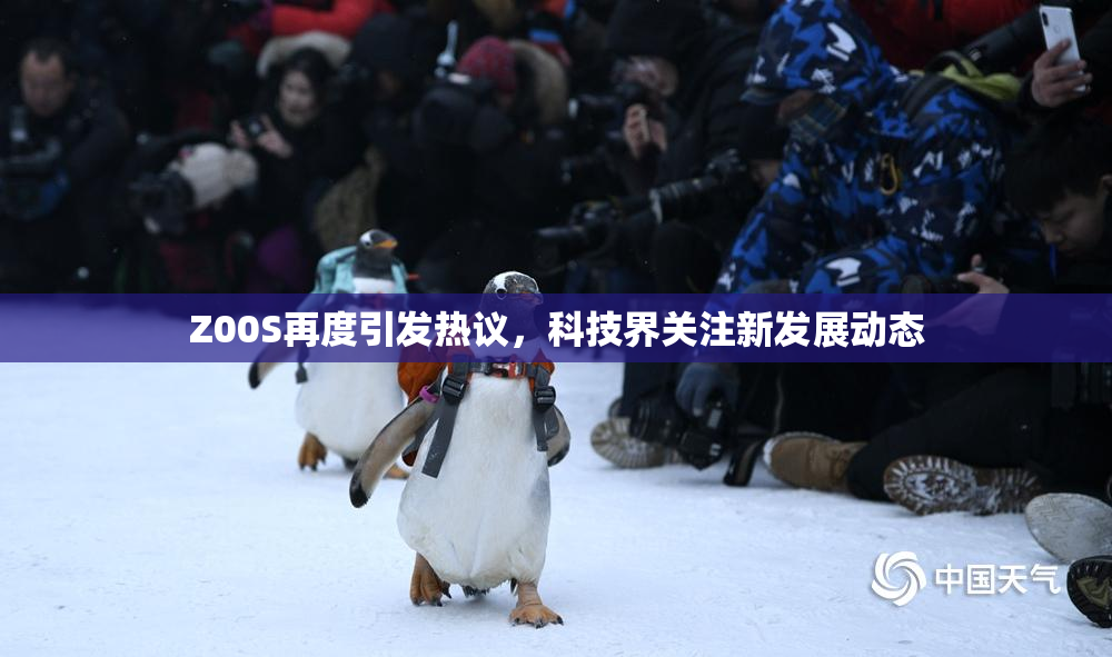 Z00S再度引发热议，科技界关注新发展动态