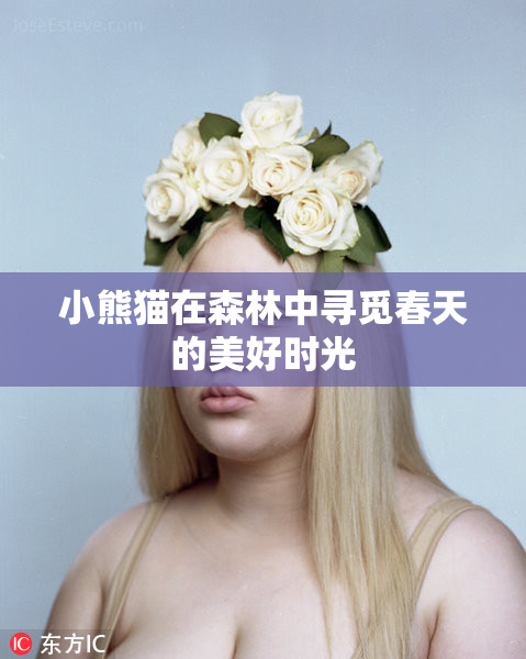 小熊猫在森林中寻觅春天的美好时光
