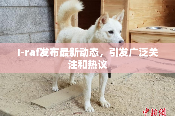 I-raf发布最新动态，引发广泛关注和热议
