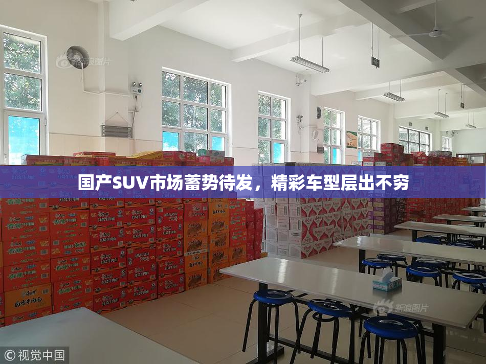 国产SUV市场蓄势待发，精彩车型层出不穷