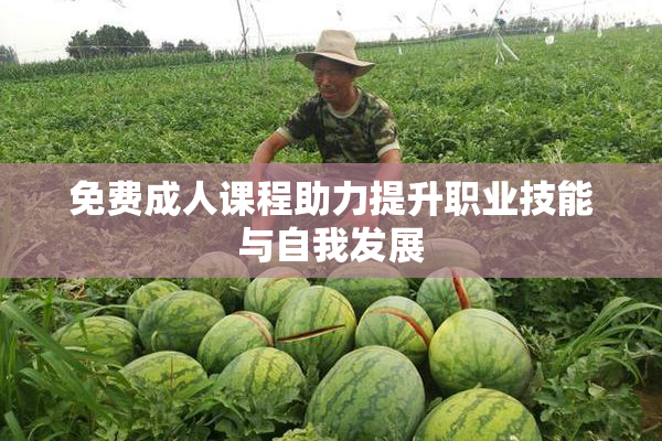 免费成人课程助力提升职业技能与自我发展