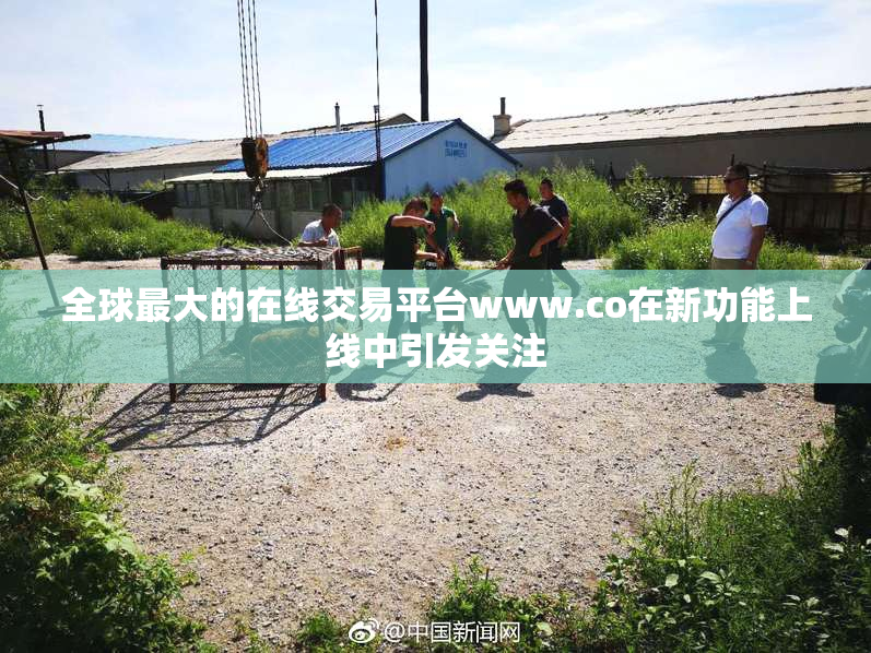 全球最大的在线交易平台www.co在新功能上线中引发关注