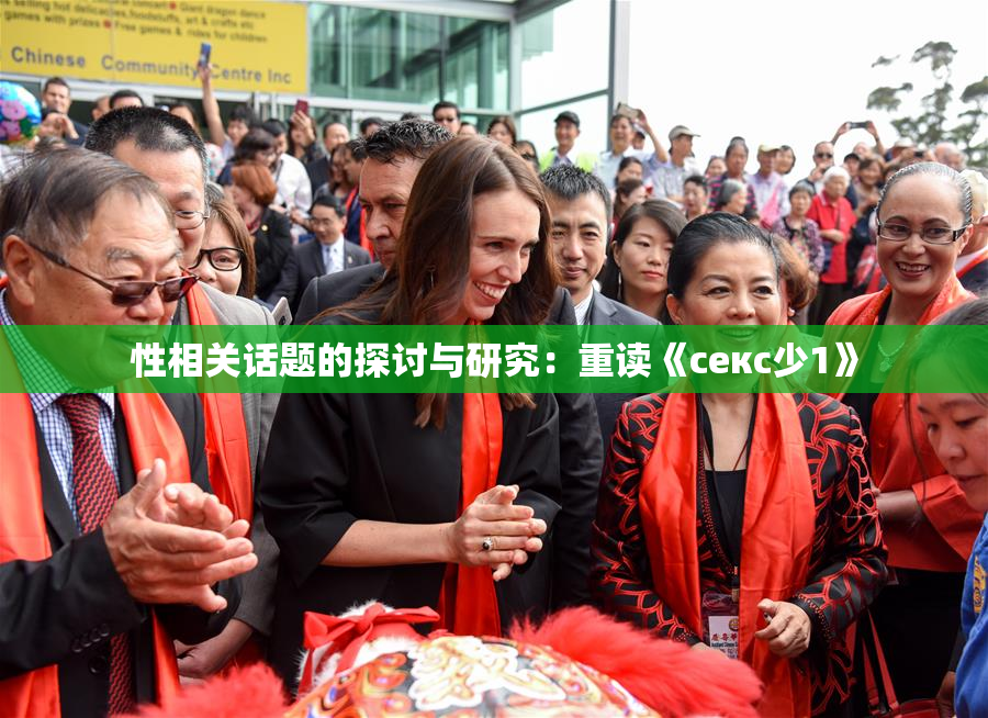 性相关话题的探讨与研究：重读《секс少1》