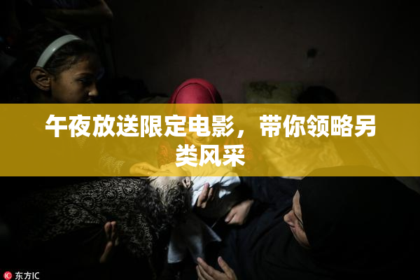 午夜放送限定电影，带你领略另类风采