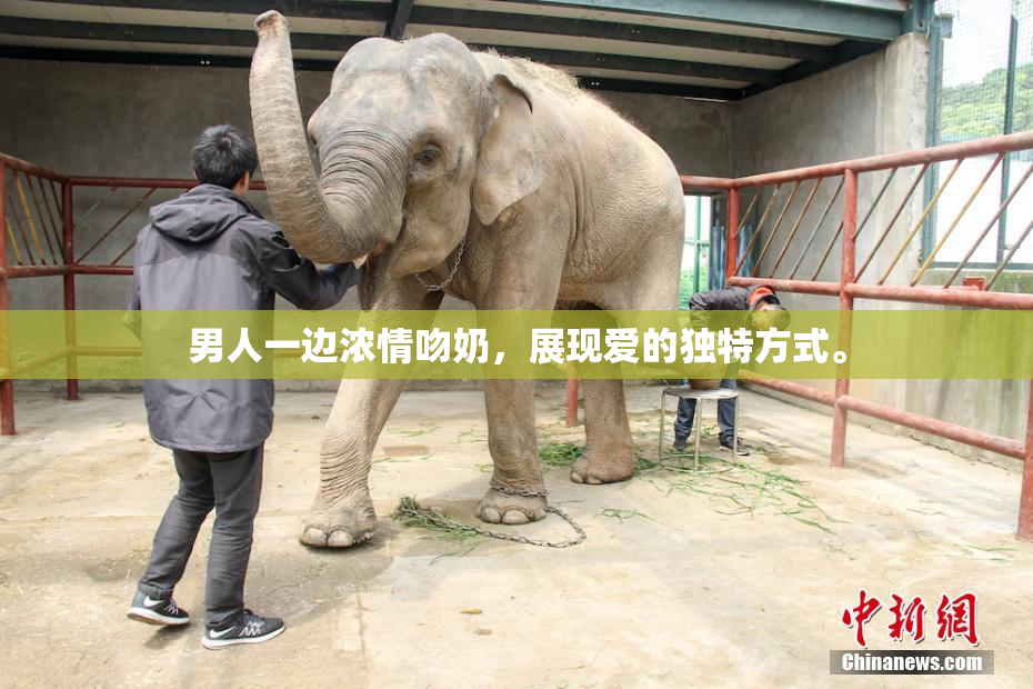 男人一边浓情吻奶，展现爱的独特方式。