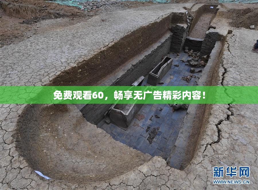 免费观看60，畅享无广告精彩内容！