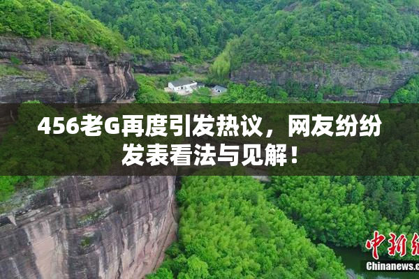 456老G再度引发热议，网友纷纷发表看法与见解！