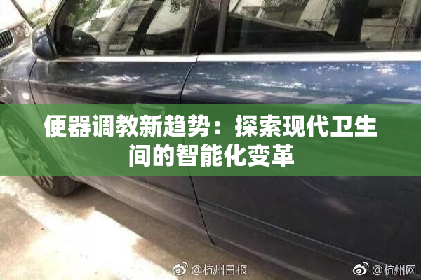 便器调教新趋势：探索现代卫生间的智能化变革