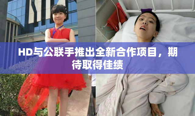 HD与公联手推出全新合作项目，期待取得佳绩
