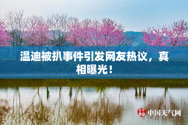 温迪被扒事件引发网友热议，真相曝光！