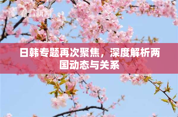 日韩专题再次聚焦，深度解析两国动态与关系