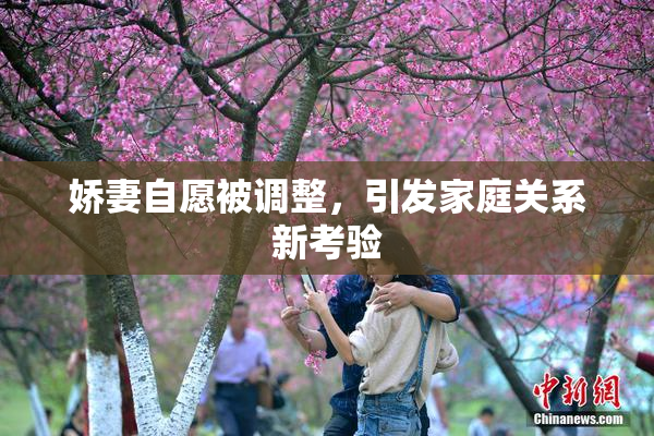 娇妻自愿被调整，引发家庭关系新考验