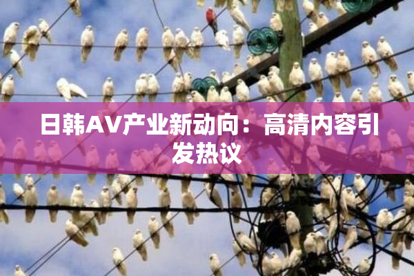 日韩AV产业新动向：高清内容引发热议