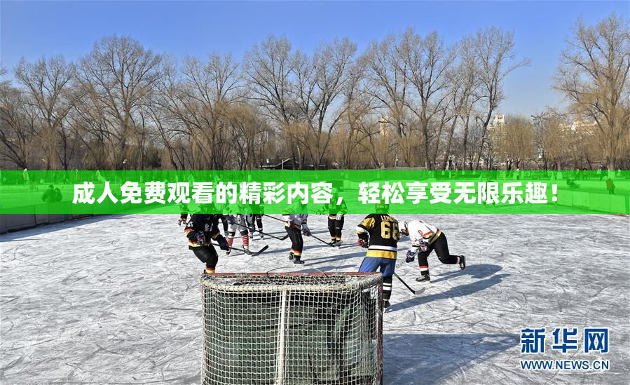 成人免费观看的精彩内容，轻松享受无限乐趣！