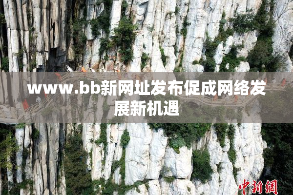 www.bb新网址发布促成网络发展新机遇