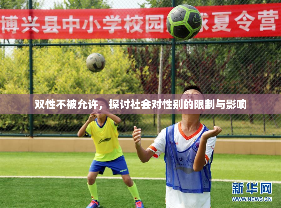 双性不被允许，探讨社会对性别的限制与影响