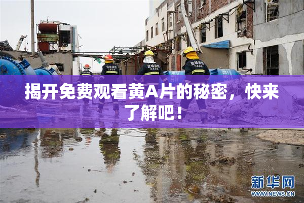 揭开免费观看黄A片的秘密，快来了解吧！