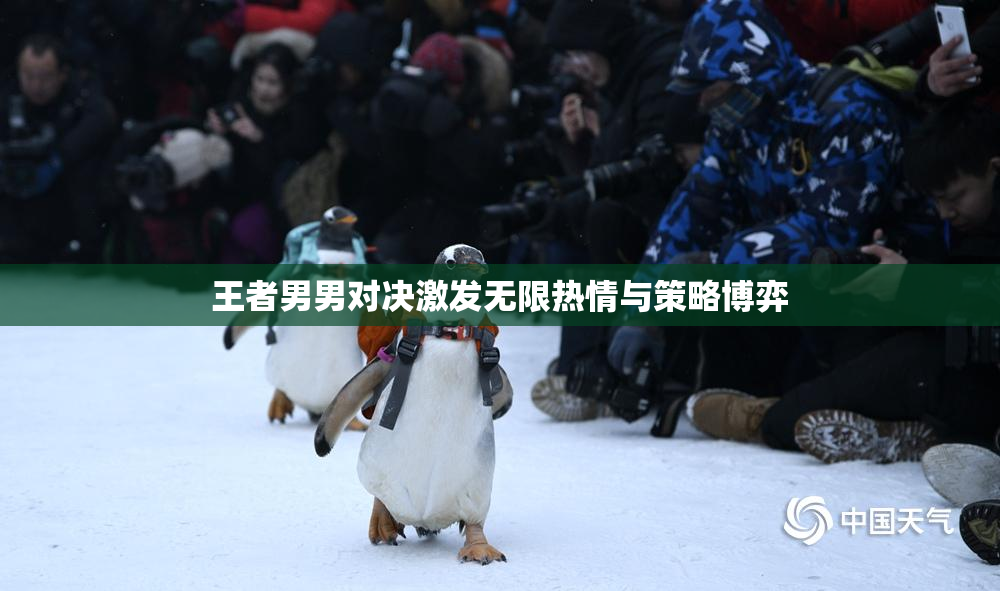王者男男对决激发无限热情与策略博弈