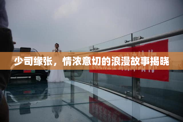 少司缘张，情浓意切的浪漫故事揭晓